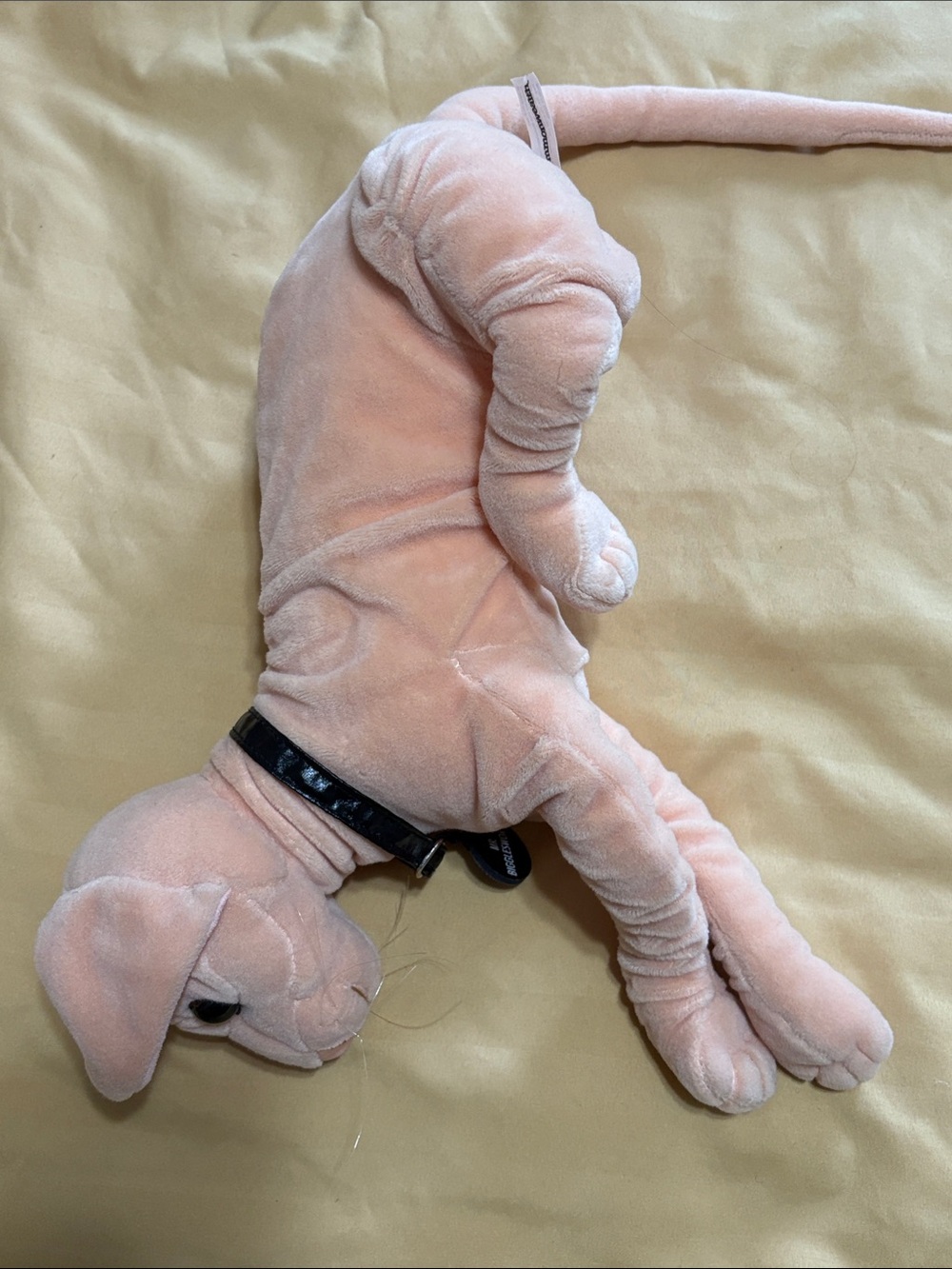 Mr. Bigglesworth Plush Cat from Austin Powers - Picture 5 of 7